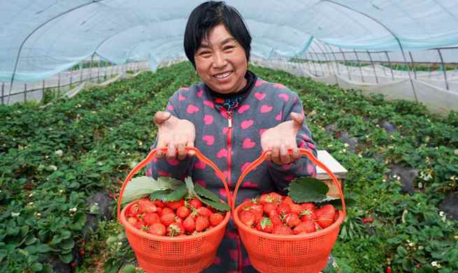 Agricultural production starts during early spring season in Nanjing