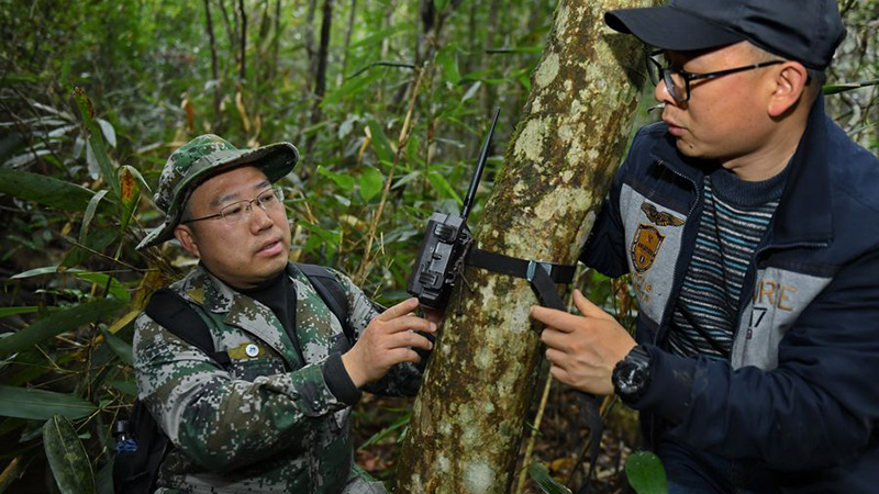 Xinhua Headlines: China vows to discard game meat consumption