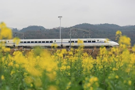 China's railways to handle 74 mln passenger trips during Dragon Boat Festival