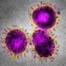 Saudi Arabia reports 17th death of novel coronavirus