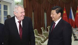 Chinese, Czech presidents meet in Sochi