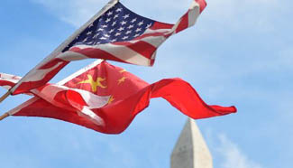 In pics: flags brighten sky of Washington D.C.