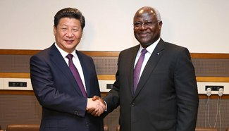 Xi says China to help Ebola-hit Sierra Leone with reconstruction