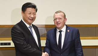 Chinese president calls for closer cooperation with Denmark