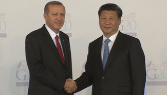 President Xi attends welcoming ceremony of G20 summit in Turkey