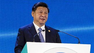 President Xi Jinping addresses APEC CEO Summit