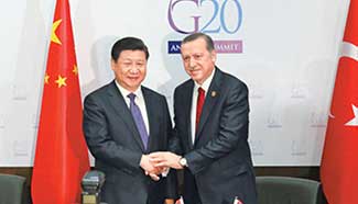 Chinese President Xi meets with Turkish counterpart