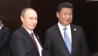 Xi, Putin discuss cooperation on G20 sidelines