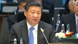 Chinese President Xi Jinping stresses economic cooperation at G20 Summit