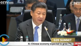 Xi: Chinese economy expected to grow 7% this year