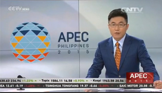 Background: What is APEC?