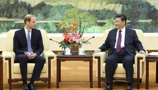 Yearender: Britain resets int'l strategy on complicated world stage in 2015