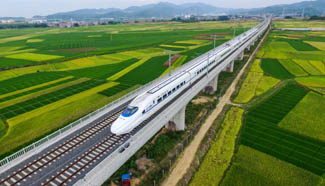 China's HSR seen average annual growth of over 30 percent