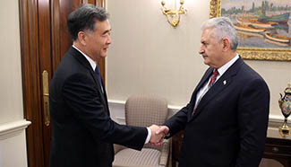 Wang Yang meets with Turkish PM in Ankara