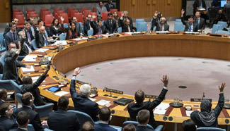 UN Security Council adopts resolution supporting Syria ceasefire, peace talks