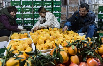 E-commerce firms help increase navel orange sales in central China