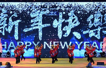 Various activities held around world to greet year 2018