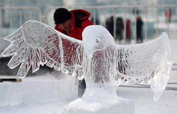 International ice sculpture competition held in NE China's Harbin