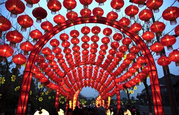People enjoy festive lanterns in Wuhan, C China's Hubei