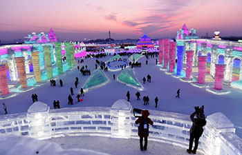 In pics: 34th Harbin International Ice and Snow Festival