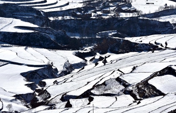 Scenery of terraced fields covered by snow in NW China's Gansu