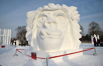 Harbin Int'l Snow Sculpture Competition concludes