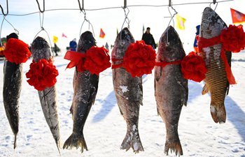 Winter fishing activity takes place in Inner Mongolia