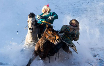 Horse taming attracts tourists in China's Inner Mongolia