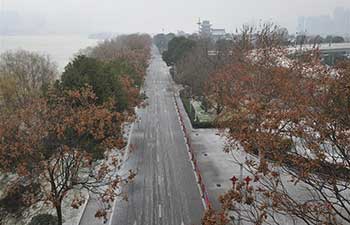 Juzizhou scenic spot in China's Hunan closed due to sleet, snowfall