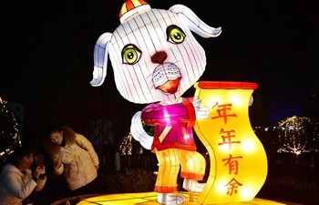 People enjoy festive lanterns in Hubei