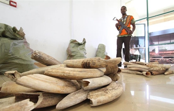 Tanzania auctions 3,580 kg of hippo teeth