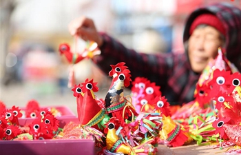 "Spring roosters" bring good luck for new year in China's Shandong