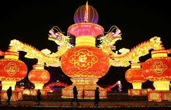 Kunming: Expo Garden sets up light show to greet Spring Festival