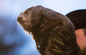 Groundhog says six more weeks of winter