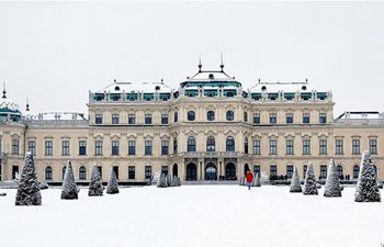 Heavy snow hits Vienna