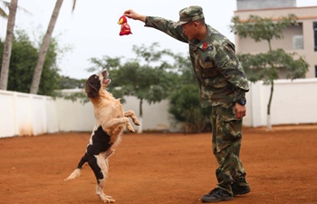 Police dog trainers and their dogs celebrate Xiaonian in S China