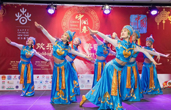 Chinese women welcome Spring Festival in Hungary
