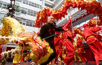 Chinese Lunar New Year celebrated in Netherlands