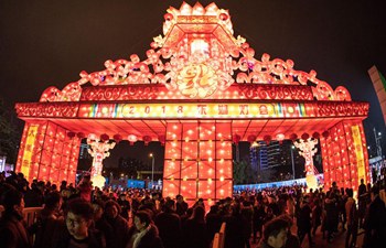 People enjoy festive lanterns in Donghu Lake of Wuhan