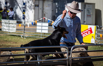 Royal Canberra Show held in Australia