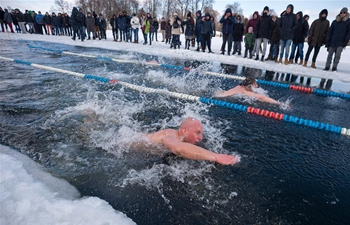 25-meter winter swimming race held in Trakai, Lithuania