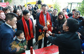Chinese Spring Festival Fair held in Dublin