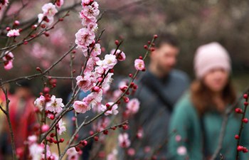 People enjoy blossom scenery in Nanjing
