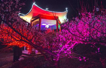 Nanjing: Plum blossoms in full bloom