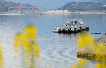 Scenery of rape flowers nearby Three Gorges Dam in C China