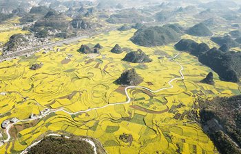 Aerial photos of rape flowers in China's Guizhou