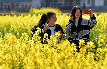 Blooming cole flowers attract tourists in China's Jiangxi