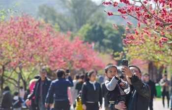 People enjoy spring scenery in SE China's Fuzhou