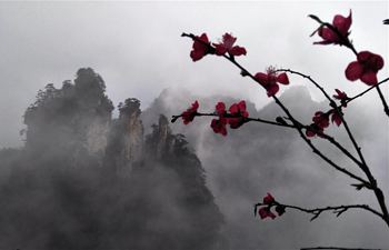 Scenery of Tianzi Mountain in China's Hunan