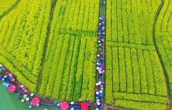 Tourists enjoy view of cole flowers in central China
